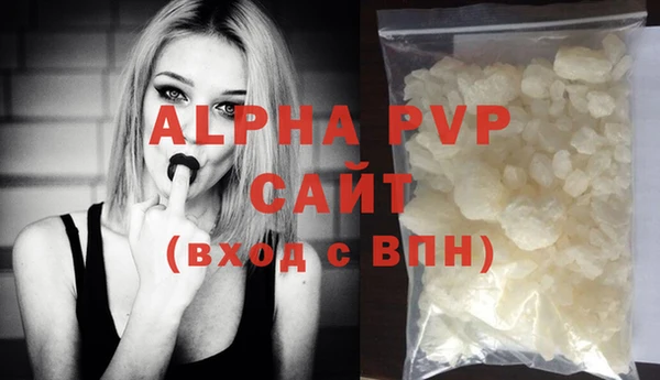 стаф Алексин