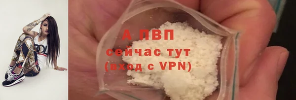 стаф Алексин