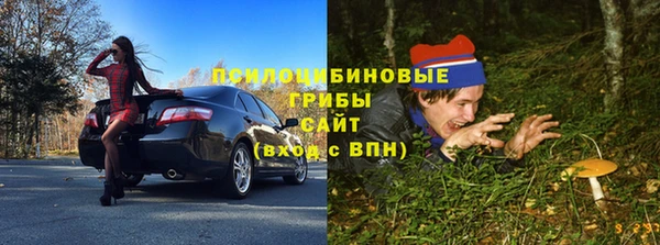 дживик Алзамай