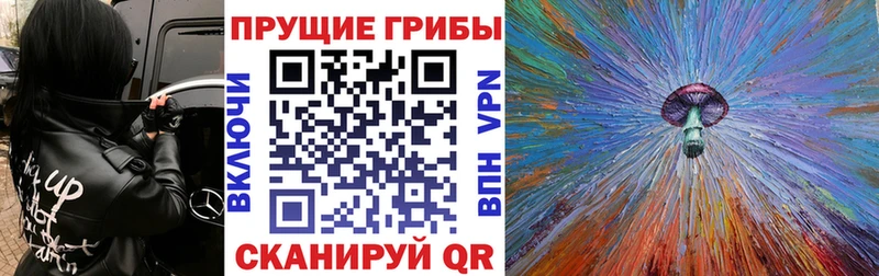 Псилоцибиновые грибы MAGIC MUSHROOMS  Омутнинск 